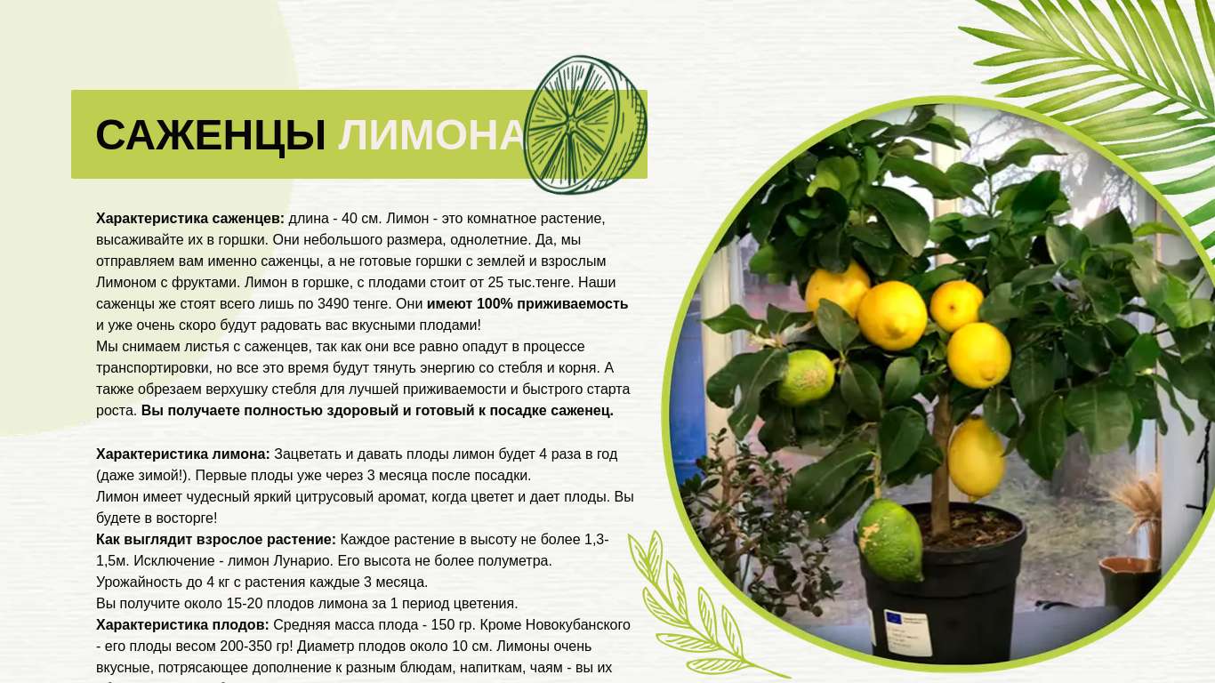 ����������� + ������� ������: ����.