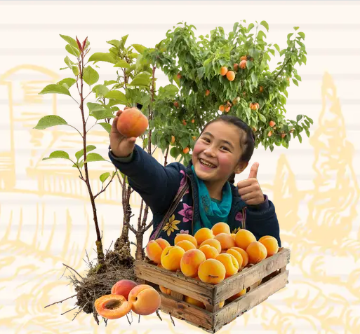 Заголовок